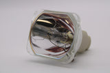 69574-BULB-A