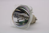 AL™ Series 69615 Lamp (Bulb Only) - 90 Day Warranty