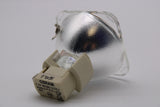 Jaspertronics™ OEM Replacement Bulb for the Planar PD7060 Projector with Osram bulb inside - 180 Day Warranty