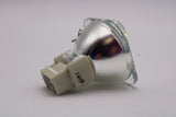 E20.6n 200W 1.0 AC Bare Projector Lamp - 69789-1