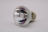 AL™ Series 69793 Bulb (Lamp Only) for Various Applications - 90 Day Warranty