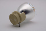 Jaspertronics™ OEM 5811117176-SVV Lamp (Bulb Only) for Vivitek Projectors with Osram bulb inside - 240 Day Warranty