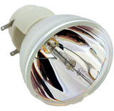 69802 Bulb
