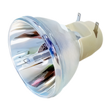 69805 Bulb