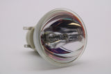 E20.8 280W 0.9 AC Bare Lamp replaces 69806-1 - 90 Day Warranty