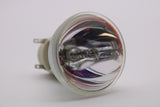 AL™ Series BL-FP280F Replacement Bulb (Lamp Only) for Optoma Projectors - 90 Day Warranty