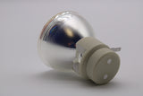AL™ Series BL-FP280F Replacement Bulb (Lamp Only) for Optoma Projectors - 90 Day Warranty