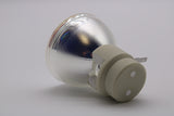 E20.8 280W 0.9 AC Bare Lamp replaces 69806-1 - 90 Day Warranty