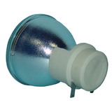 E20.8 280W 0.9 AC Bare Lamp 69806-1 - 180 Day Warranty