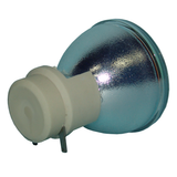 E20.8 280W 0.9 AC Bare Lamp 69806-1 - 180 Day Warranty