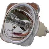 69811-BULB