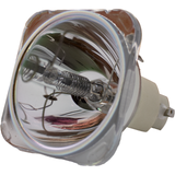 69811-BULB