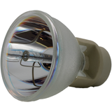 69812 Bulb