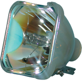 Jaspertronics™ OEM 69815 Bulb (Lamp Only) Various Applications with Original High-Quality bulb inside - 240 Day Warranty