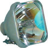 69815-BULB