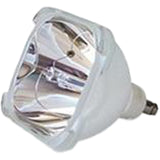 Jaspertronics™ OEM RPE054 Lamp (Bulb Only) for Various Projectors - 240 Day Warranty