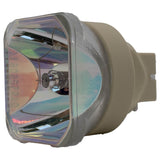 AL™ Series  245-170W 0.8 E19.4 IC AC Bare Lamp - 90 Day Warranty