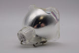 AL™ Series Bulb for The Vidikron Model 12 Projector - 90 Day Warranty