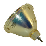 OEM 9281-343-05390 Bulb (Lamp Only) for Various Applications Philips bulb - 240 Day Warranty