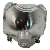 AL™ Series 9281-344-05390 Bulb (Lamp Only) for Various Applications - 90 Day Warranty