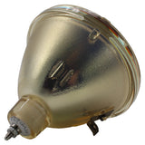 AL™ Series 9281-345-05390 Bulb (Lamp Only) for Various Applications - 90 Day Warranty