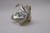 AL™ Series 200-150W 1.0 P22 Bulb (Lamp Only) for Various Projectors - 90 Day Warranty