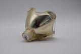 AL™ Series 200-150W 1.0 P22 Bulb (Lamp Only) for Various Projectors - 90 Day Warranty