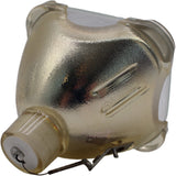 AL™ Series Transvision-3-Bulb Bulb (Lamp Only) for DWINs Projectors - 90 Day Warranty