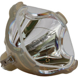 Sim2-Domino-D80-Bulb