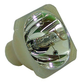 RUPA-007500