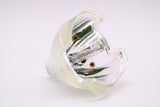 AL™ Series 9281-371-05390 Bulb (Lamp Only) for Various Applications - 90 Day Warranty