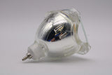 Jaspertronics™ OEM 9281-389-05390 Bulb (Lamp Only) Various Applications with Philips bulb inside - 240 Day Warranty
