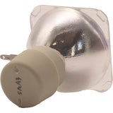 AL™ Series 9281-625-05390 Bulb (Lamp Only) for Various Applications - 90 Day Warranty