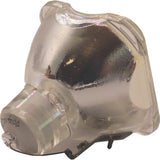 AL™ Series 9281-650-05390 Bulb (Lamp Only) for Various Applications - 90 Day Warranty