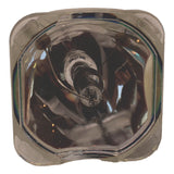 AL™ Series 9281-650-05390 Bulb (Lamp Only) for Various Applications - 90 Day Warranty