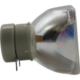 AL™ Series 9281-657-05390 Bulb (Lamp Only) for Various Applications - 90 Day Warranty