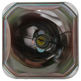 AL™ Series 9281-657-05390 Bulb (Lamp Only) for Various Applications - 90 Day Warranty