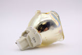 Genuine AL™ 3797725600-S Lamp (Bulb Only) for Vivitek Projectors - 90 Day Warranty