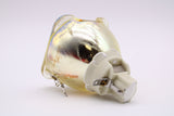 AL™ Series Lamp (Bulb Only) for The Digital Projection CS520 Projector - 90 Day Warranty