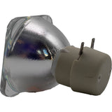 AL™ Series  260W 1.0 E20.6 AC Bare Lamp - 90 Day Warranty