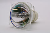 AL™ Series 210-170W 0.9 E20.9 Bulb (Lamp Only) for Various Projectors - 90 Day Warranty