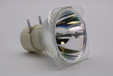 AL™ Series 210-170W 0.9 E20.9 Bulb (Lamp Only) for Various Projectors - 90 Day Warranty