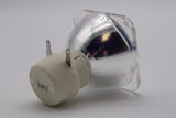 AL™ Series 210-170W 0.9 E20.9 Bulb (Lamp Only) for Various Projectors - 90 Day Warranty
