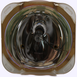 AL™ Series 300-250W 1.1 E21.7 Bulb (Lamp Only) for Various Projectors - 90 Day Warranty