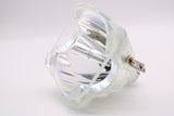 AL™ Series 180-160W 1.0 E22 Bulb (Lamp Only) for Various Projectors - 90 Day Warranty