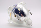 AL™ Series 180-160W 1.0 E22 Bulb (Lamp Only) for Various Projectors - 90 Day Warranty
