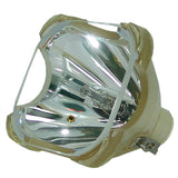 Transvision-3-Bulb