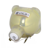 Philips E21.7n 310W/245W 1.0 AC Bare Projector Lamp (9284 451 05390)  - 240 Day Warranty
