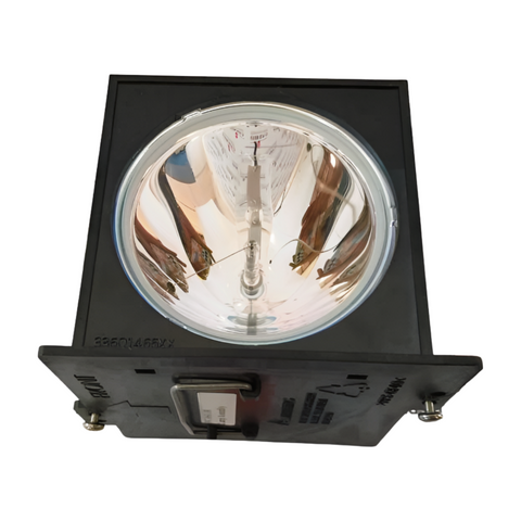 Wildcat-with-SN-WCC-LAMP