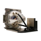 AL™ Series 9E.0CG03.001 Lamp & Housing for BenQ Projectors - 90 Day Warranty